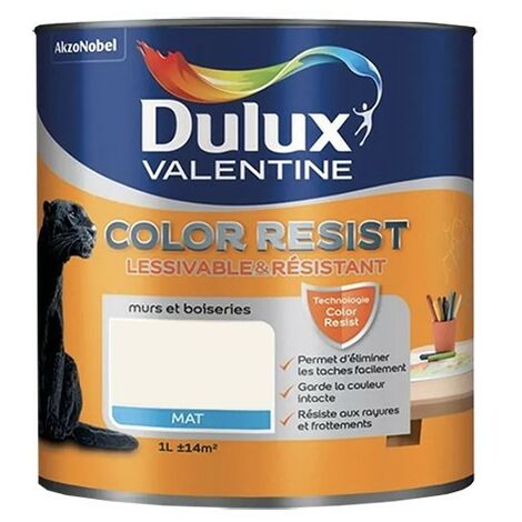 Dulux Valentine Peinture acrylique Color Resist Blanc infini Mat 1 L - Blanc infini