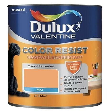 Dulux Valentine Peinture acrylique Color Resist Corail austral Mat 1 L - Corail austral