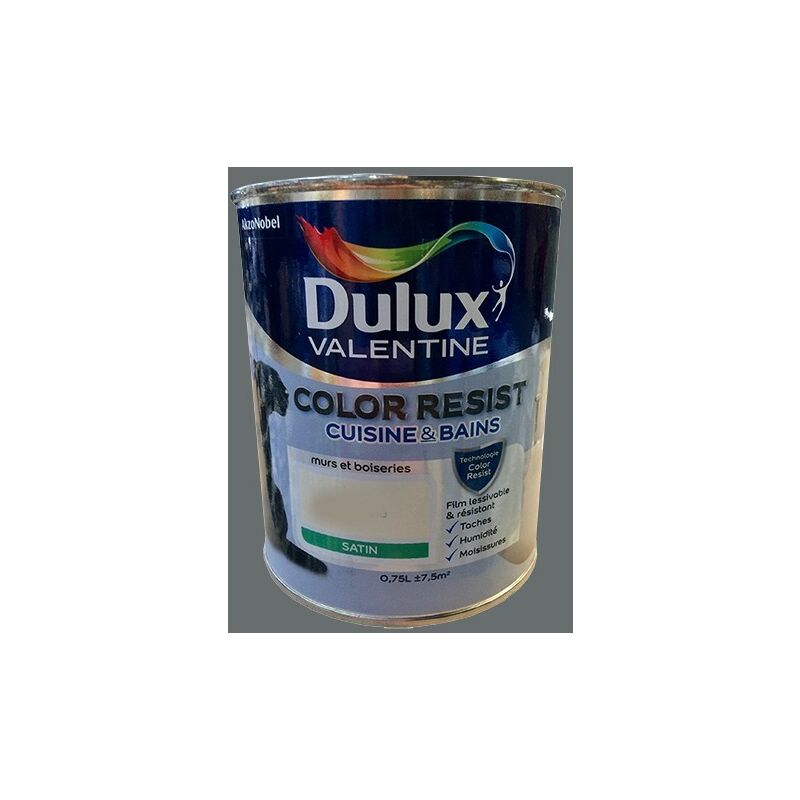 Peinture acrylique Color Resist Cuisine & Bain Anthracite 0,75 l - Anthracite - Dulux Valentine