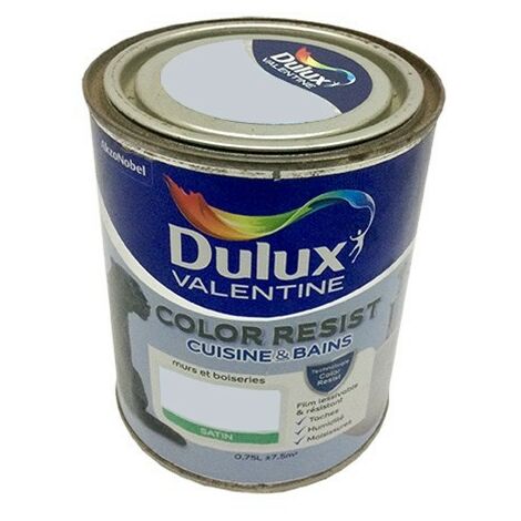 Dulux Valentine Peinture acrylique Color Resist Cuisine & Bain Hammam 0,75 L - Hammam