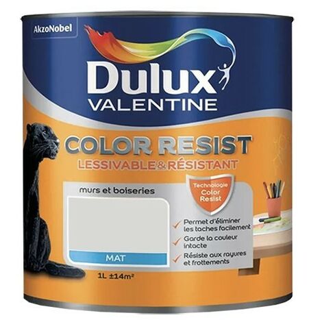 Dulux Valentine Peinture acrylique Color Resist Nacre Mat 1 L - Nacre