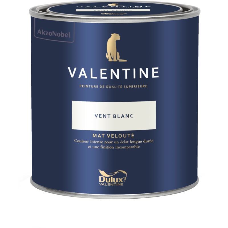 Dulux Valentine Peinture intérieure de haute qualité - Valentine - Couleur intense & pouvoir couvrant élevé - Mat Velouté Vent Blanc 0,5 L