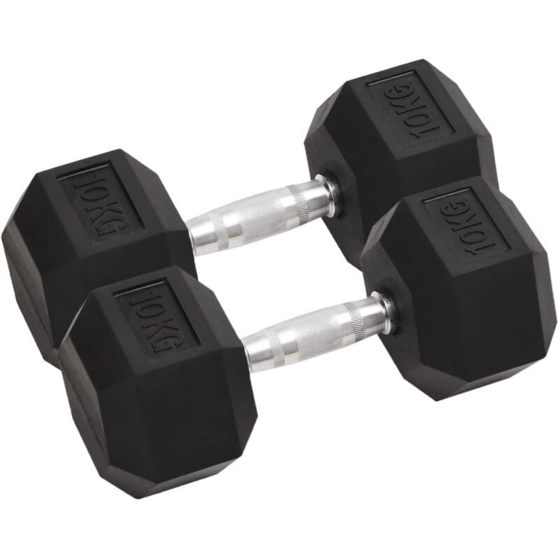 Dumbbells 2 Pcs 20 Kg Total Cast Iron Vidaxl
