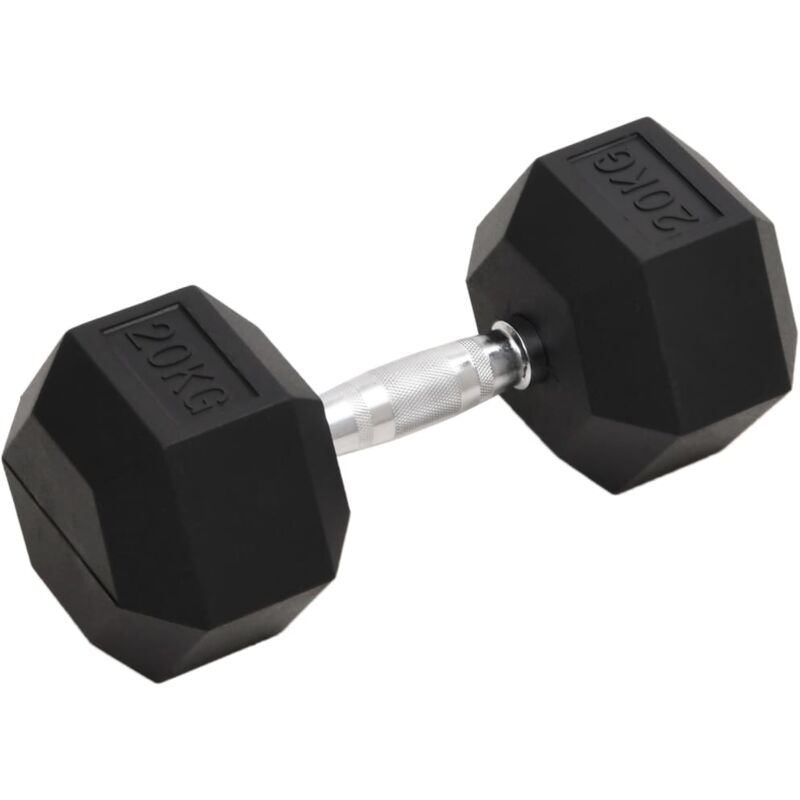 Dumbbell 20 Kg Cast Iron Vidaxl