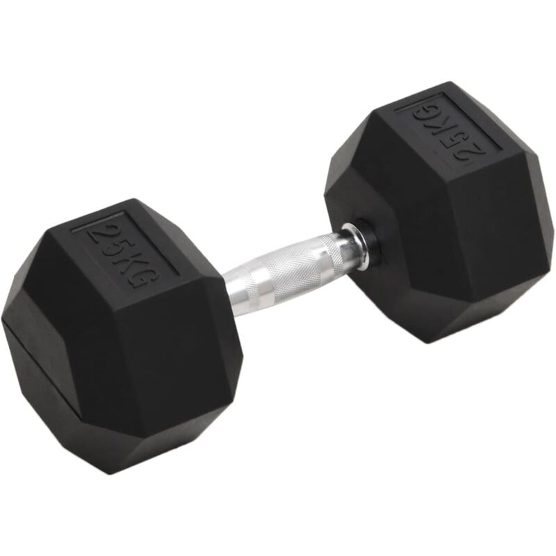 Dumbbell 25 Kg Cast Iron Vidaxl