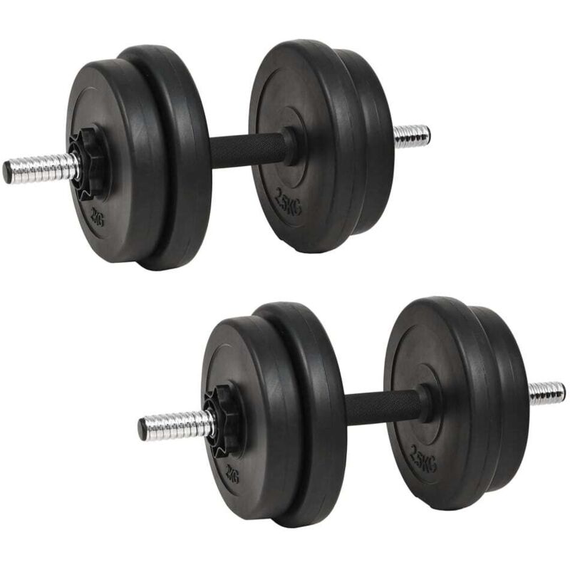 Dumbbell With Plates 40 Kg Vidaxl