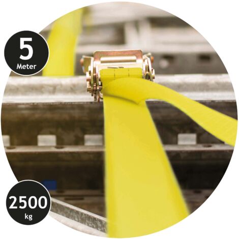 DUNLOP Spanngurt mit Ratschenschloss, 2500 kg, 5 m