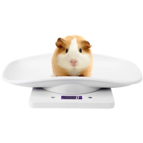 DUO Pèse-bébé 10kg / 1g petite échelle de poids numérique pour animaux de compagnie pour chats chiens outil de mesure balan En Stock