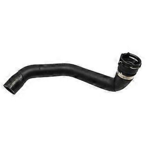Durite inférieure de liquide de refroidissement du radiateur 31319445 pour XC90 3.2L-L6 07-14