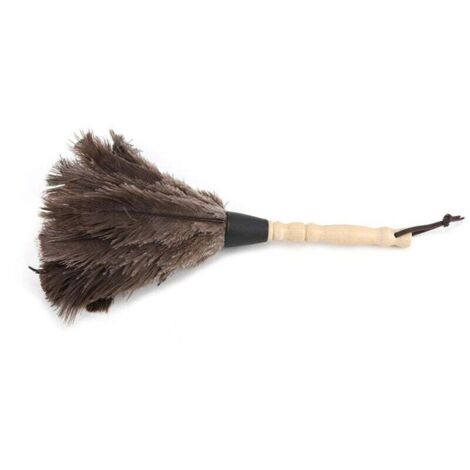 Duster, noueurs à Plumes à Autruche Douce pour Le Nettoyage, plumeau à Main léger avec poignée en Bois, Outils de poussière Suspendus pour Le Bureau, la Maison et la Voiture