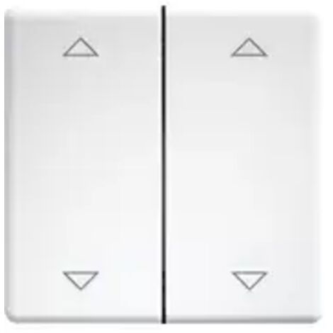 DW-FT55-rw+2P Eltako  Doppel-Schalterwippe