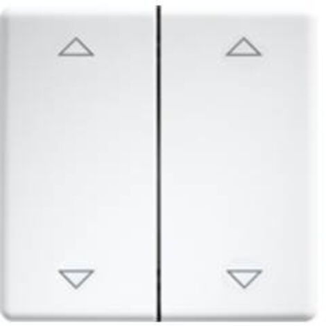 DW-FT55-rw+2P Eltako Interruttore doppio