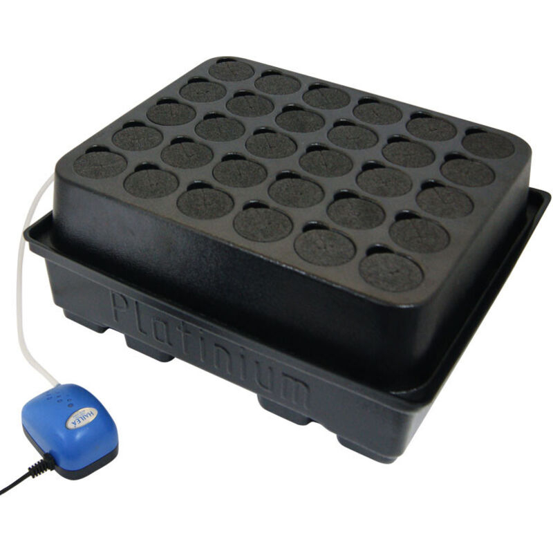 Platinium Hydroponics - Platinium - dwc cloner 30 noir pour 30 boutures - 40x34 - Système aéroponique