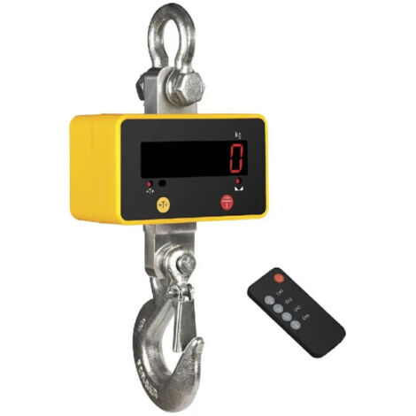 Dynamomètre contrôle à distance - 500 kg x 100 g