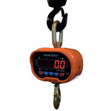 Dynamomètre électronique - charge maximum de levage 3000 kg - CW30