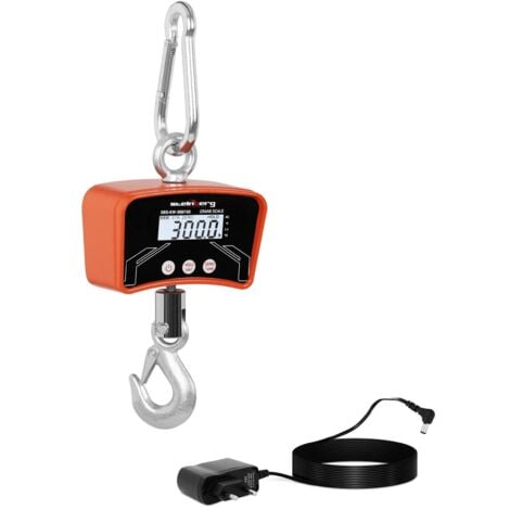 Dynamomètre Industriel  Jusqu'À 300 Kg  Kg  Lb  N  Boîtier Alu  Crochet Inox