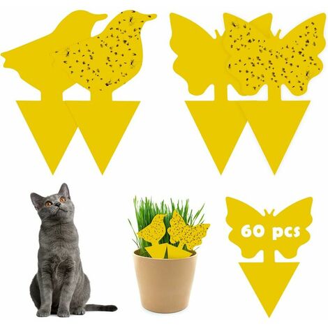 E-E- 48Pcs Plug-in piège à Mouches plaques Jaunes Autocollant Jaune Plante de Protection Contre Les pucerons, Les Mouches des Feuilles et la vermine, idéal pour Les Plantes sur Le Balcon ou dans Le