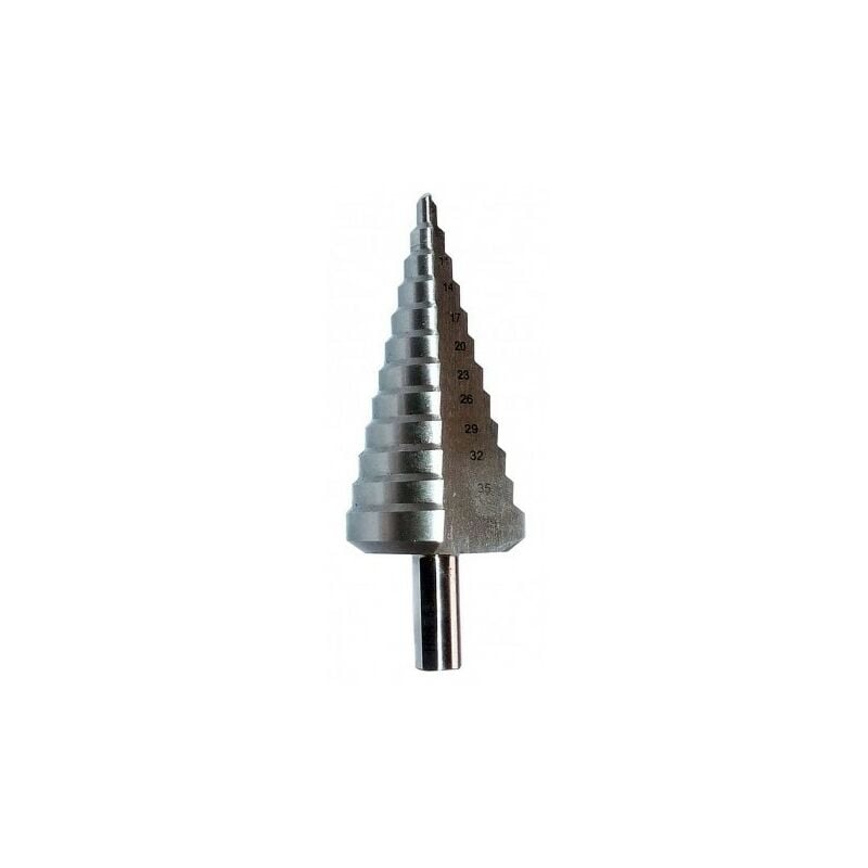 Agi Robur - e-robur - 225007 - Foret étagés Polydiam