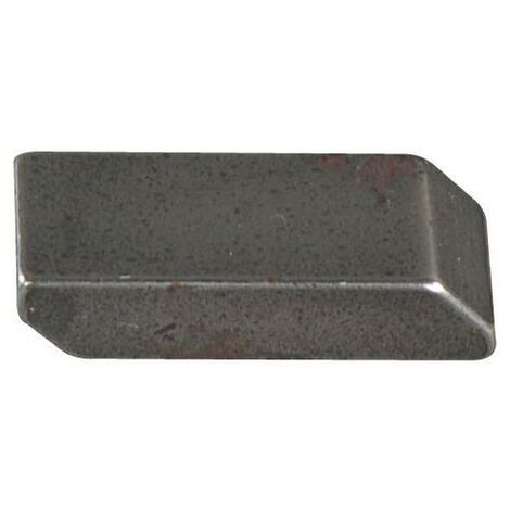 E08069ASM - Cliquet pour Tondeuse AS-MOTOR