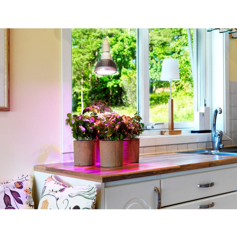 Venso Ecosolutions - Venso Pflanzenlampe 130 mm 230 v E27 18 w Magenta Reflektor 1 St.