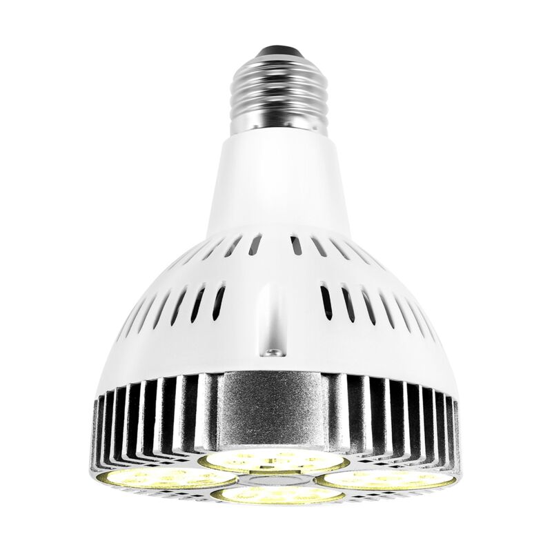 E27 Plante Lampe Ampoule 35W led éLèVent la LumièRe Blanche Chaude pour Serre de Jardin IntéRieur