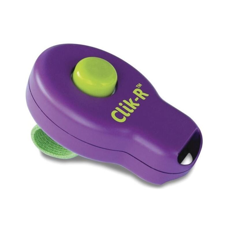Petsafe - easy walk clicker de dressage - pour chien PDT19-15090
