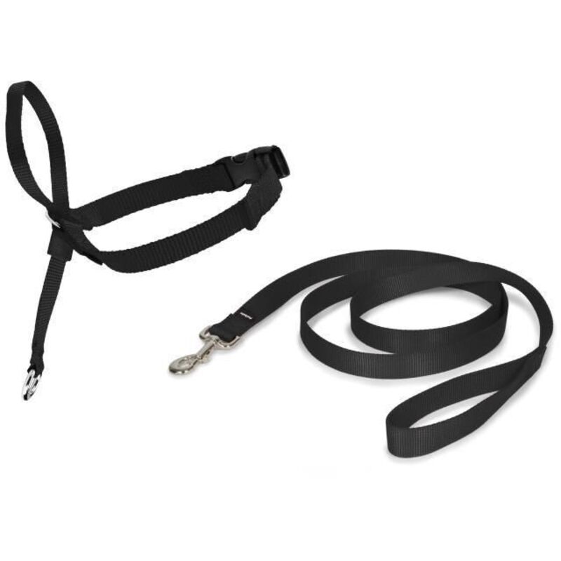 Cynnotek - licol easywalk chien m noir CY3599