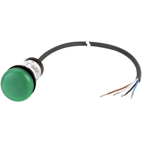 Eaton C22-L-G-24-P62 Meldeleuchte  flach Grün 24 V DC/AC 1 St.