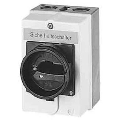 EATON Interruttore principale montato, 63A, IP65, 207343
