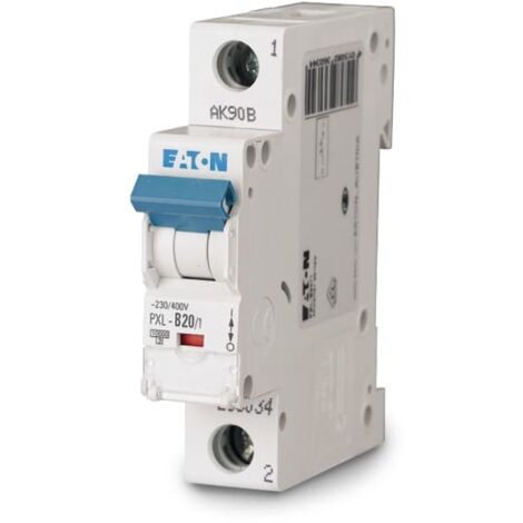 DISJONCTEUR HAGER 1P+N 10A 4,5Ka/6Ka COURBE C