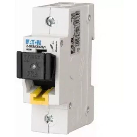 Eaton Sicherheitsleistungsschalter 25 A kompakt und zuverlässig