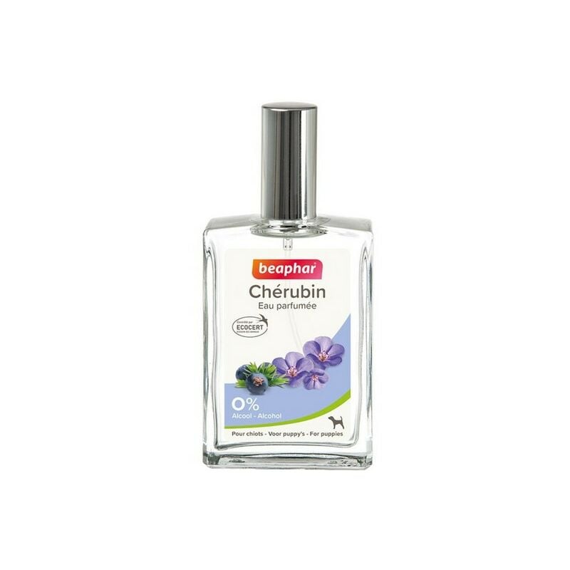 Beaphar - Eau de toilette pour chien, chiot et chienne Désignation : Eau de toilette chérubin pour chiot | Conditionnement : 50 ml 10725