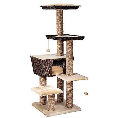 Ebi Arbre A Chat Curacao Beige