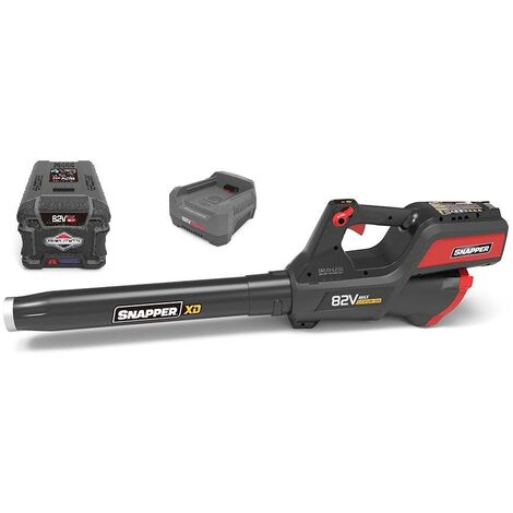 EBSRC82 - Carica batterie rapido 82 V Worx