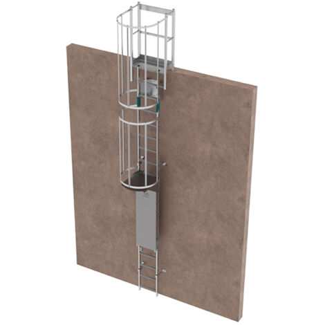 Echelle à crinoline avec porte - Hauteur à franchir de 10,22 à 11,06m - CRINO-SF/004-7872