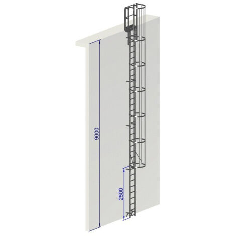 Echelle a crinoline hauteur 9 mètres Norme EN ISO 14 122-4