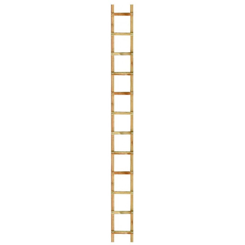 Outifrance - Echelle bois de toit 2,00 m