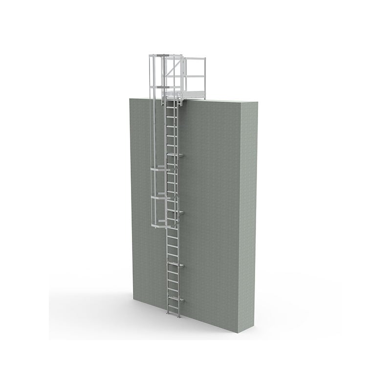 Matisère - Echelle à crinoline palier de sortie 0.80m - h. à franchir 5.50 à 5.80m - CS58-CPSH-080