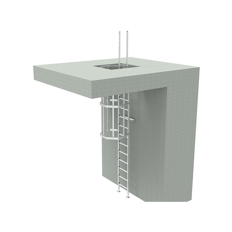 Echelle Direct - Echelle à crinoline pour sortie sous plafond - Hauteur de bâtiment 6.00m - CS/2SD/600