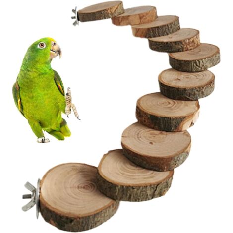 Échelle de cage à oiseaux, jouet de mouvement et d'escalade