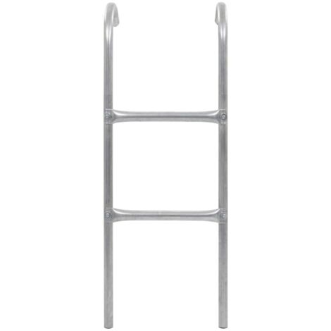 Échelle de trampoline à 2 marches Acier Argenté 102,6 cm CFW28760