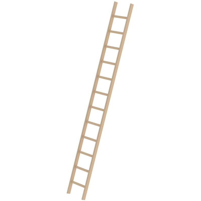 Steigtechnik Échelle simple à échelons en bois sans traverse 12nombre de barreaux - 033112 - Günzburger