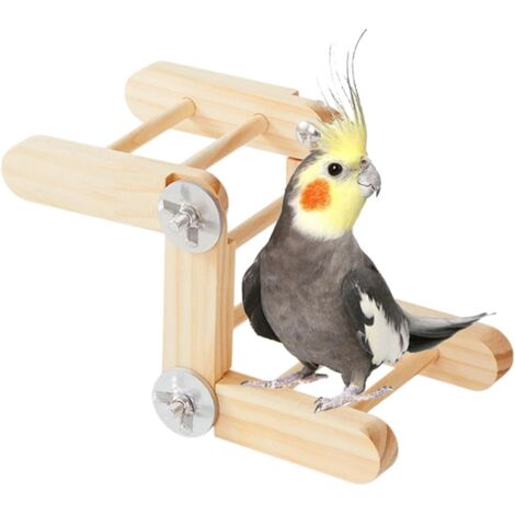 Échelle en bois pour oiseaux - Jeux interactifs naturels réglables - Jouet
