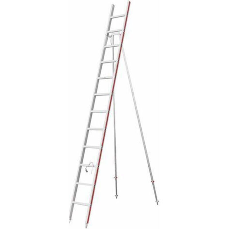 Echelle Direct - Echelle fruitière 14 barreaux - Hauteur de cueillette maximale 4.91m - 3049/14