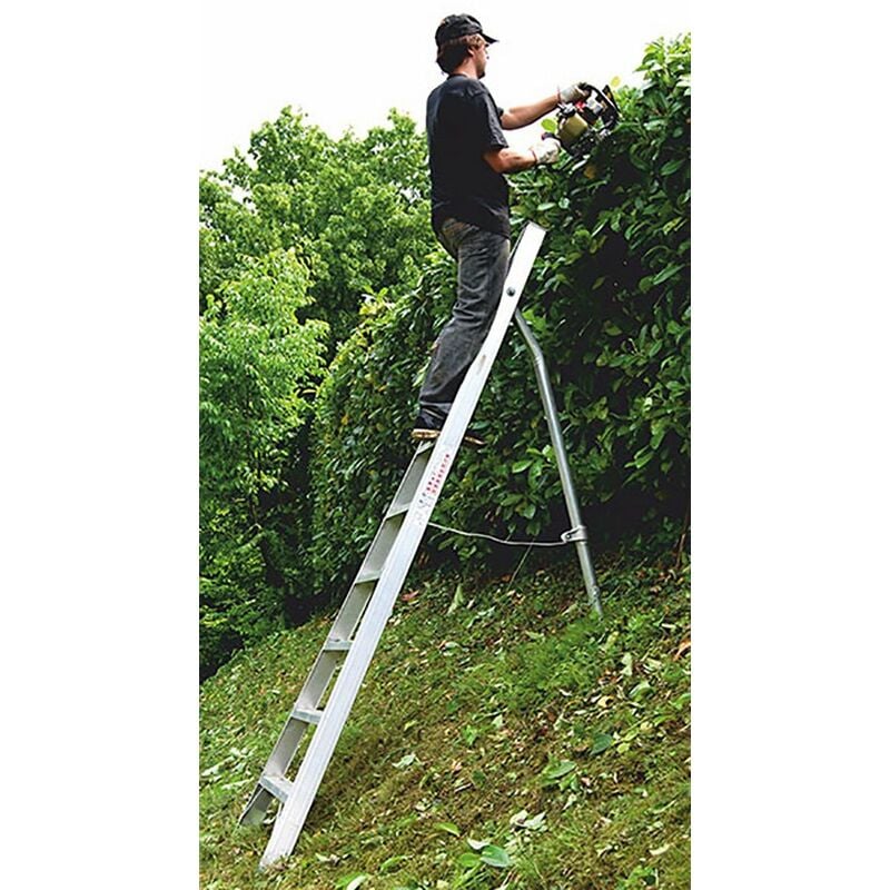 Leiter Experten - Echelle fruitière 6 barreaux avec pointe - Hauteur max travail 2.74m - SCA1969/06-SCCSTO