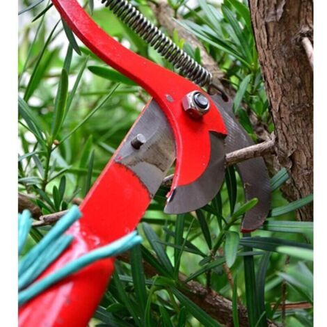 Échelle télescopique pour cueillette de fruits et élagage – 3,2 à 5,2 m, aluminium léger, avec sécateur intégré et crochet multifonction