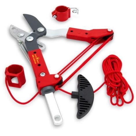 Echenilloir Wolf Multi Star ORM2