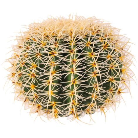 Echinocactus Artificiale