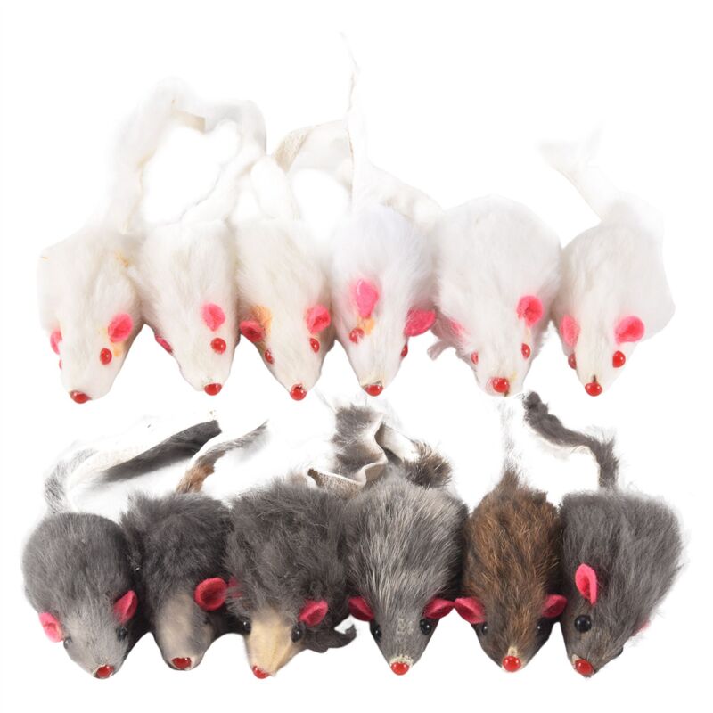 Image of Tlily - Echtes Kaninchen Fell MäUse Katzen Spielzeug Haustier Kinder 12Er Pack