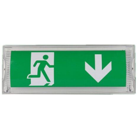 Éclairage de Sécurité LED, lampe de secours avec batterie de secours jusqu'à 3 h, éclairage de sortie de secours, panneau de sortie de secours , étanche IP65, [Classe énergétique F]